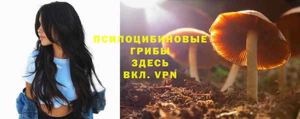 экстази Карпинск