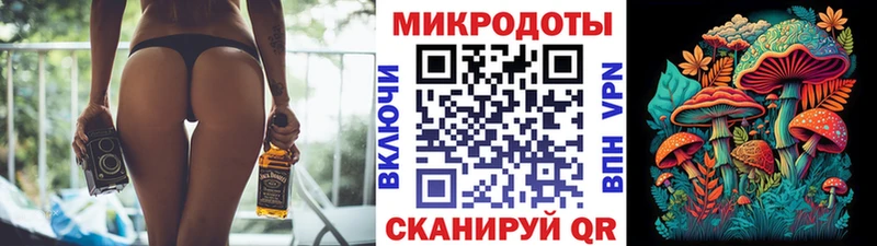 Галлюциногенные грибы Psilocybine cubensis  Великие Луки 