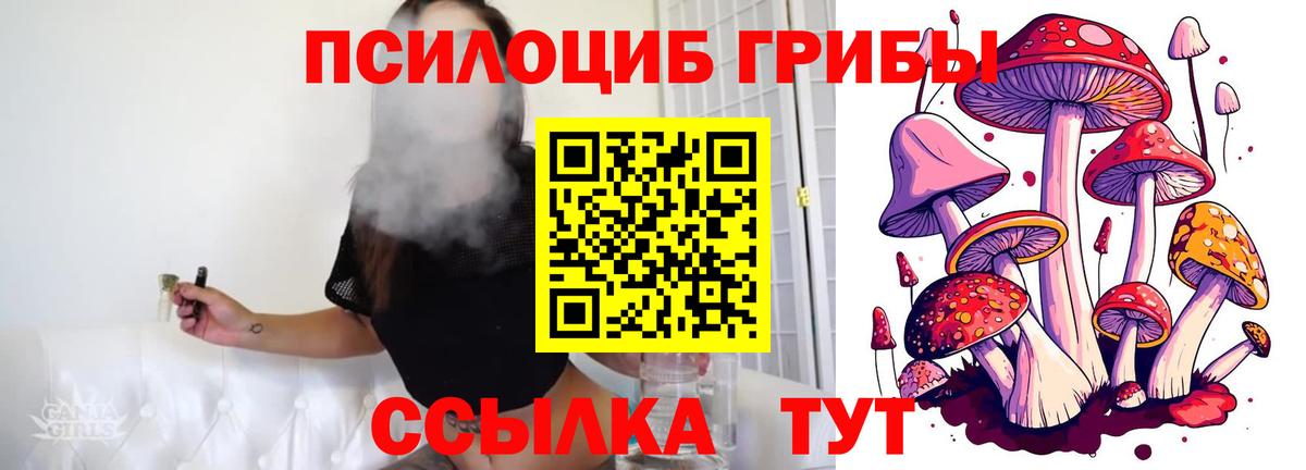 Псилоцибиновые грибы Magic Shrooms  Великие Луки  Галлюциногенные грибы Magic Shrooms 