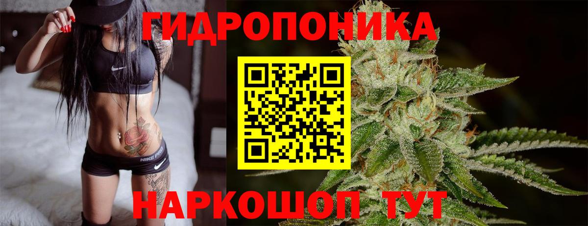 Каннабис сатива Великие Луки